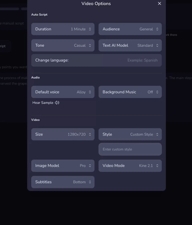 Video Style settings